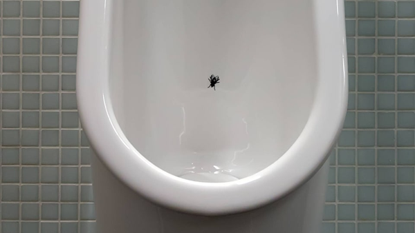 Fliege-Urinal